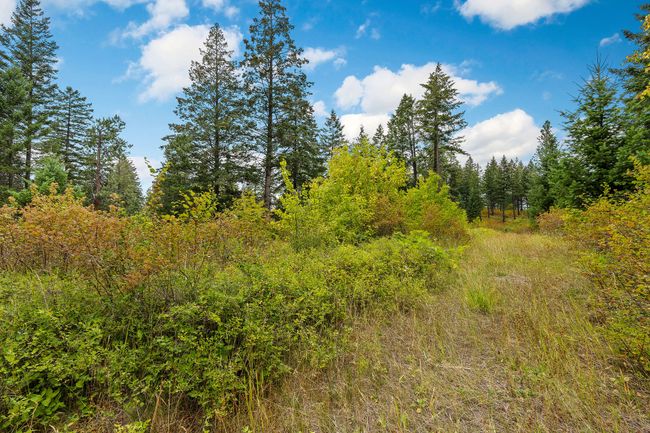 157 Pinto Trl, Home with 0 bedrooms, 0 bathrooms and null parking in Bigfork MT | Image 47