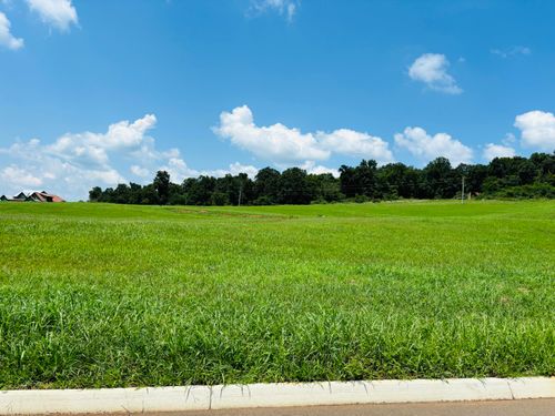 Lot 79 Meadow Vista Way, White Pine, TN, 37890 | Card Image