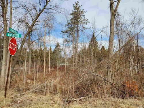 VL Birch Tree Road, Worth Township, MI, 48450 | Card Image