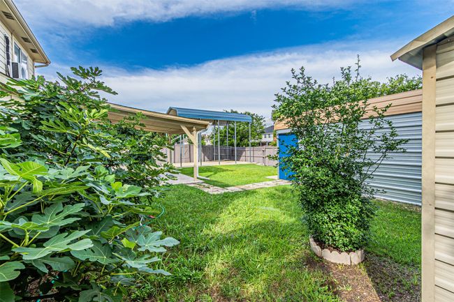 View of yard | Image 38