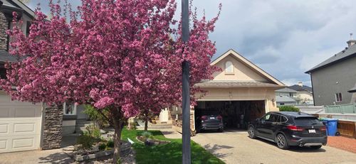 51 Cranleigh Gdns Se, Calgary, AB, T3M1C7 | Card Image