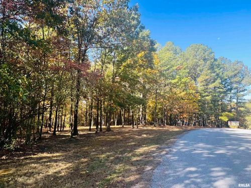 Lot 41 Luxor Landing Rd, Goreville, IL, 62939 | Card Image