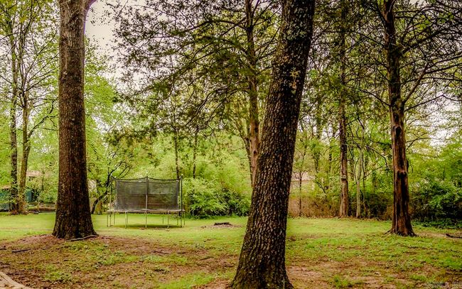 203 Richwood Dr, House other with 4 bedrooms, 3 bathrooms and null parking in Mountain Home AR | Image 28