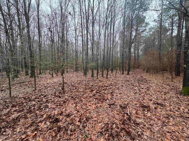 000 Ashley Road 912, Home with 0 bedrooms, 0 bathrooms and null parking in Hamburg AR | Image 16