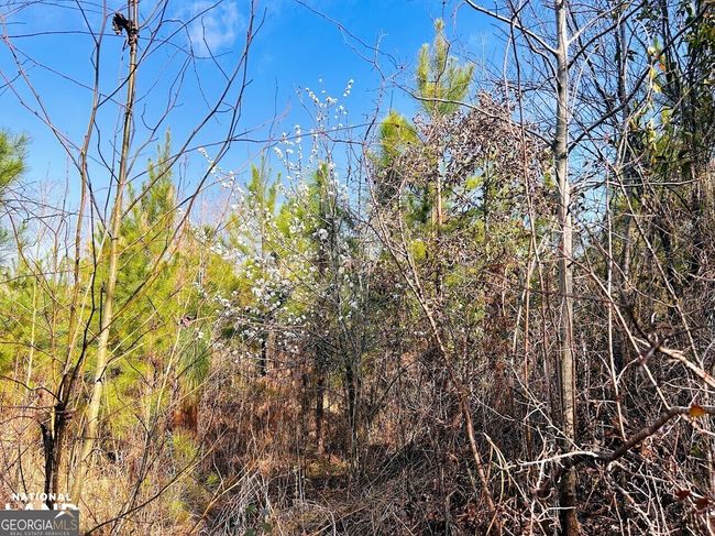 0 County Road 36, Home with 0 bedrooms, 0 bathrooms and null parking in Eufaula AL | Image 13