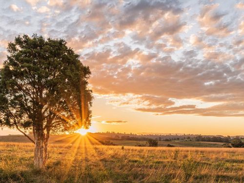 lot-14-14 Rolling Hill Dr, Cat Spring, TX, 78933-2236 | Card Image