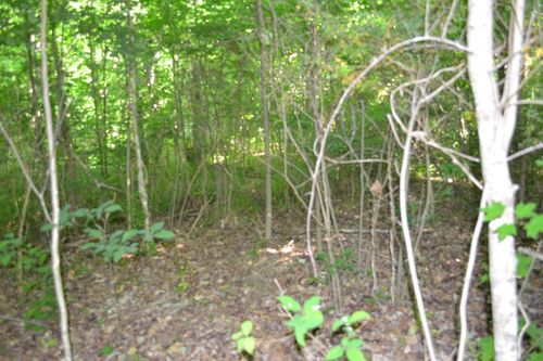 5ac Dynamite Lane, Livingston, TN, 38570 | Card Image