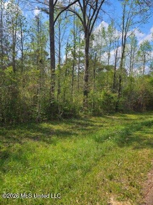 I-55 I-55, Magnolia, MS, 39652 | Card Image