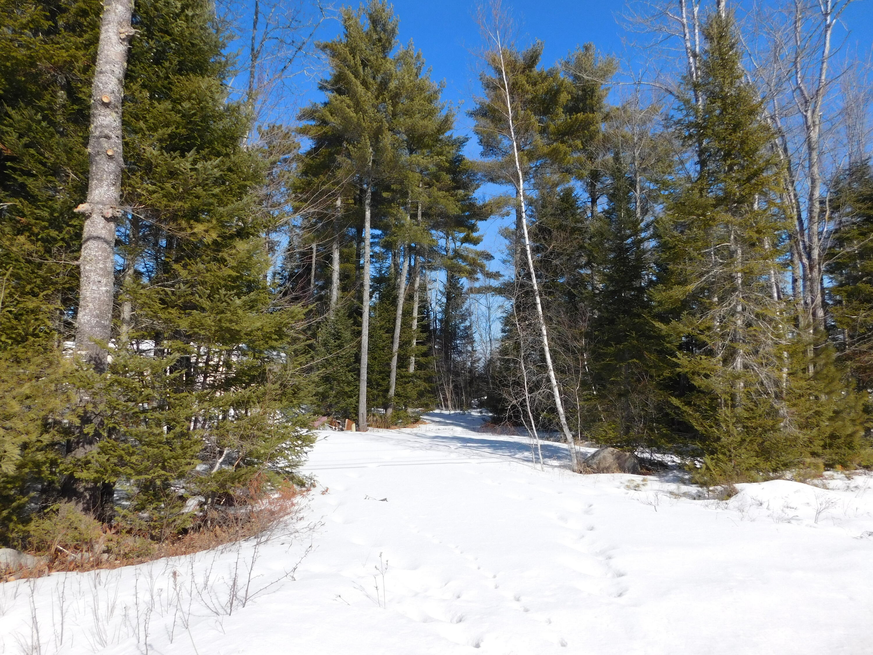 Land in Greenbush 4