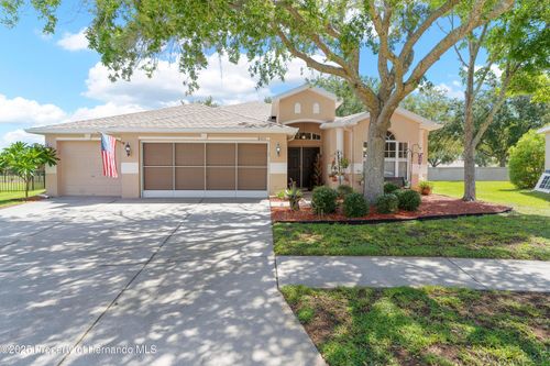 6010 Candytuft Pl, LAND O LAKES, FL, 34639-2679 | Card Image