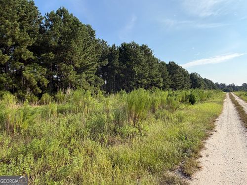 0 Highway 296, Stapleton, GA, 30823 | Card Image