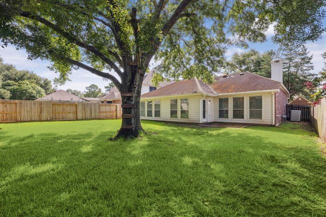 Backyard | Image 19