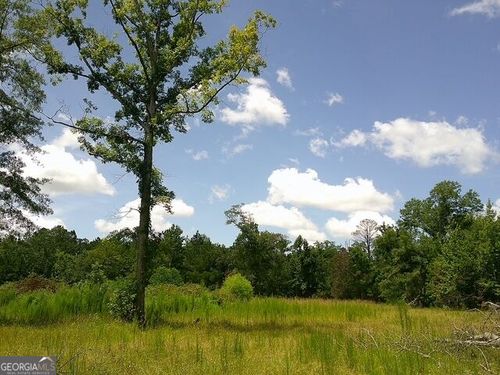 0 Us Highway 221 N, Kite, GA, 31049 | Card Image
