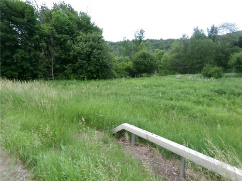 0 Candor Rd, Spencer, NY, 14883 | Card Image