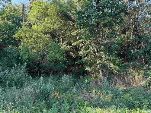 000 Lapis Dr, Clay City, IL, 62824 | Card Image