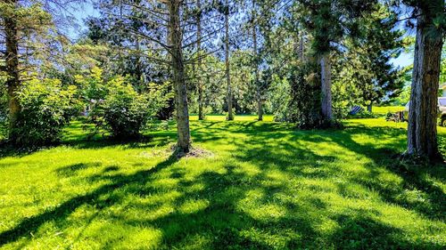 Lot 1 & 14 South East Street, New Auburn, WI, 54757 | Card Image