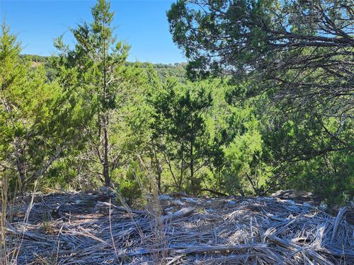 Lot 74 Bluff View Road, Kempner, TX, 76539 | Card Image