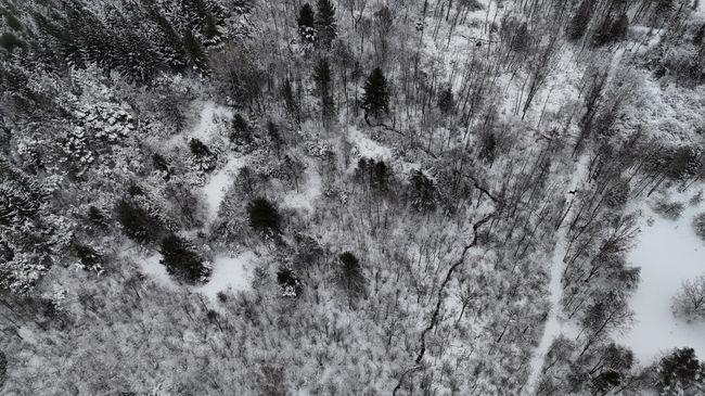 Kangas (14) | Image 53