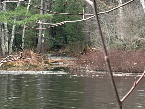 ON Whispering Pines Rd, Tomahawk, WI, 54487 | Card Image