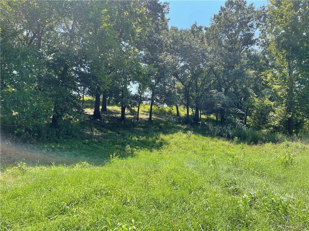 Land in Siloam Springs 2