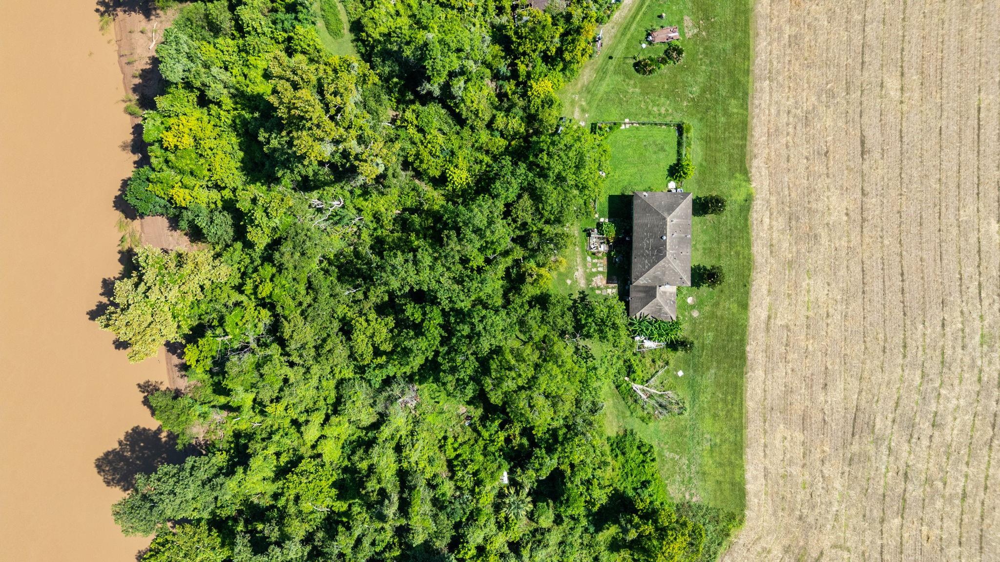 Farm in Rosharon 4