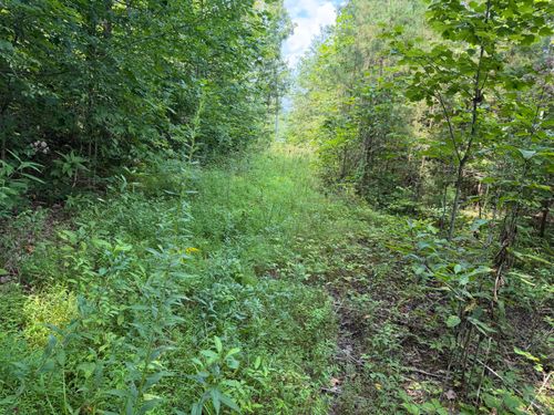 9 Tucker Hollow Rd, Monticello, KY, 42633 | Card Image