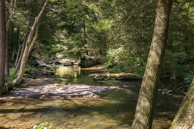 653 Watersound Trce, House other with 3 bedrooms, 3 bathrooms and 3 parking in Bruceton Mills WV | Image 36