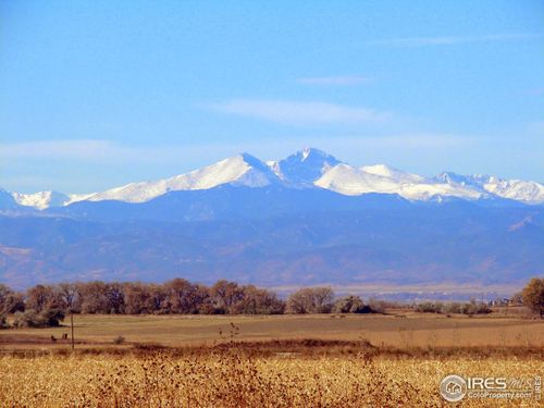 15303 Ypsilon Cir, Mead, CO, 80542-8821 | Card Image