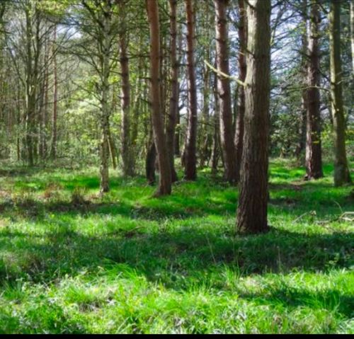 LOT 2 Winterberry Ln, North Easton, MA, 02356-1389 | Card Image