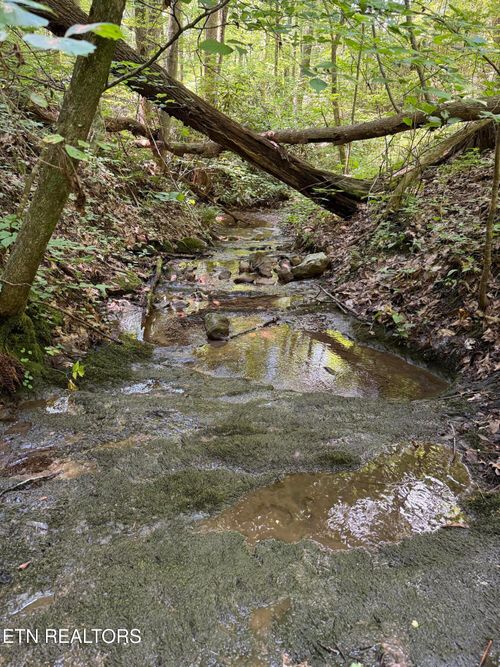 0 Goose Creek Rd, Seymour, TN, 37865 | Card Image