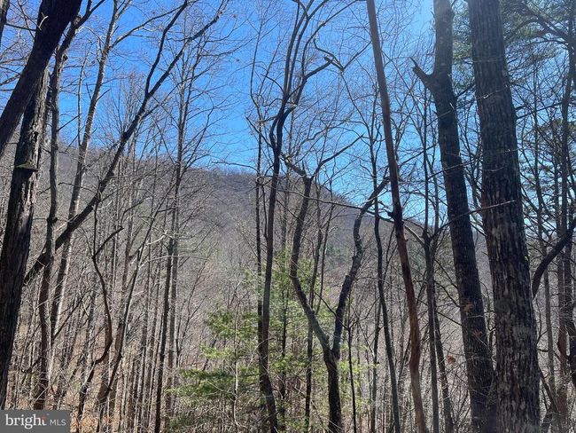 0 Bear Cove Rd, Home with 0 bedrooms, 0 bathrooms and null parking in Bryson City NC | Image 10