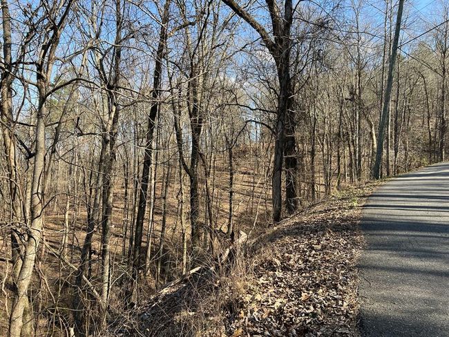 Lot 326 Adair Dr Ne, Home with 0 bedrooms, 0 bathrooms and null parking in Ranger GA | Image 9