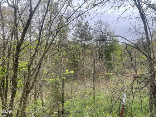 952 Stokes Valley Way, Parrottsville, TN, 37843 | Card Image