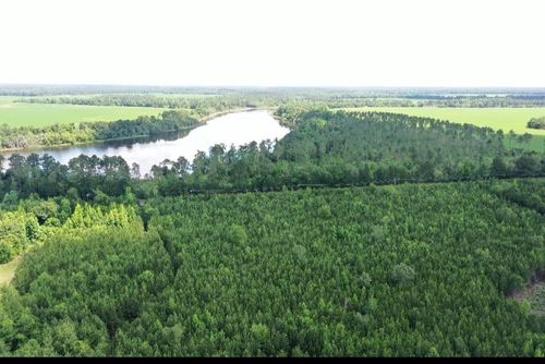 xx Hardaway Hwy, Gretna, FL, 32332 | Card Image