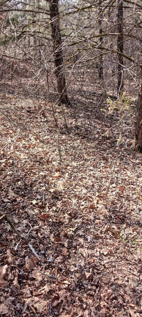 Lot 26 Crestview Dr, Theodosia, MO, 65761 | Card Image