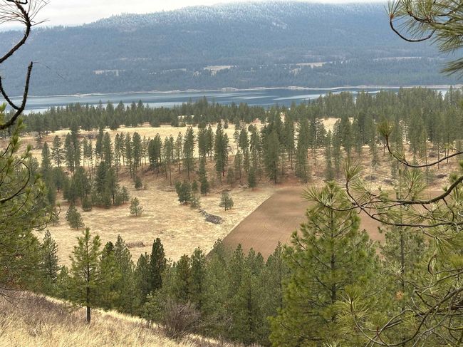 3312X Daisy Mine Rd, Home with 0 bedrooms, 0 bathrooms and null parking in Rice WA | Image 10
