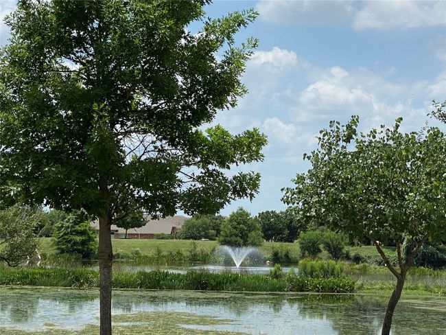 Beautiful fountain with walking path around it! Beautiful! | Image 34