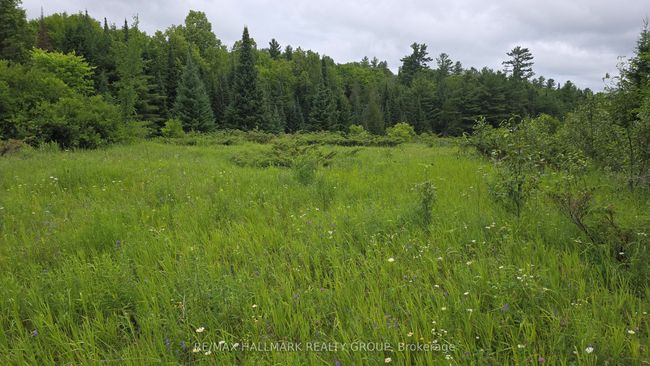 0000 Calabogie Rd, Home with 0 bedrooms, 0 bathrooms and null parking in Burnstown ON | Image 4
