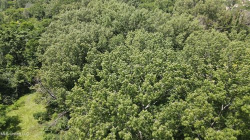 0000 Colony Park Blvd, Ridgeland, MS, 39157 | Card Image