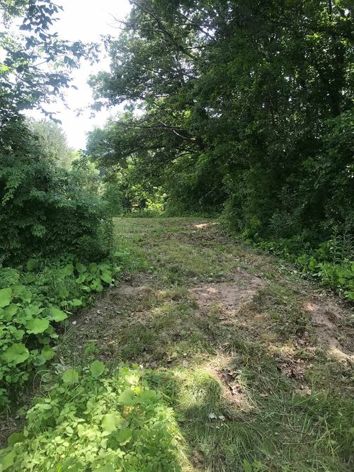 705 Hedgehog Hill Rd S, Belmont, VT, 05730-9728 | Card Image