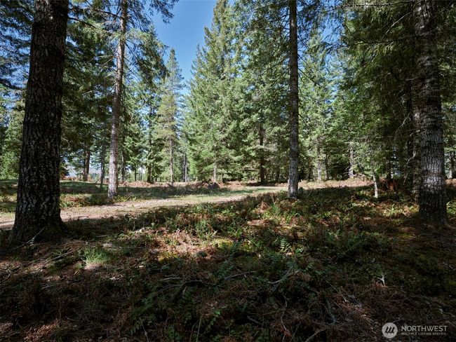 Acreage | Image 13
