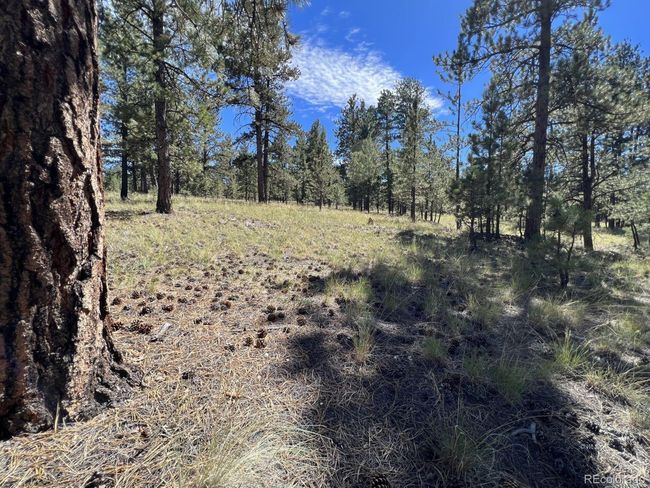 82 Kiowa Cir, Home with 0 bedrooms, 0 bathrooms and null parking in Westcliffe CO | Image 8