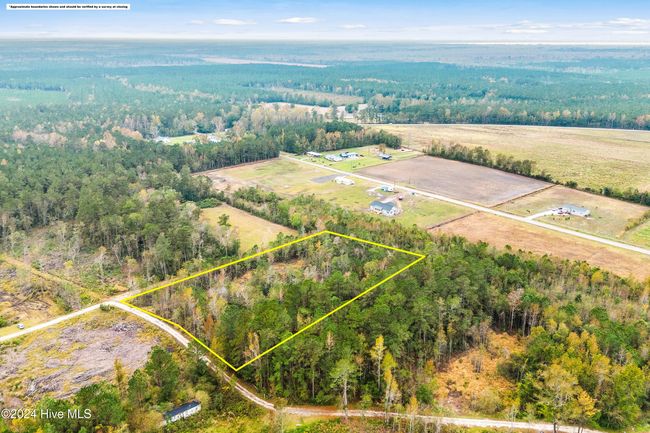 Near 169 Lizzies Drive, Home with 0 bedrooms, 0 bathrooms and null parking in Bolton NC | Image 13