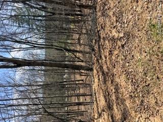 Land in Deerpark