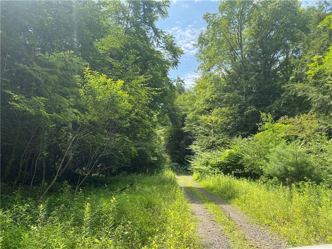 925 Haytown Rd, Home with 0 bedrooms, 0 bathrooms and null parking in Grampian PA | Image 6