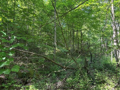 000 Fowl Hill Rd, Melcroft, PA, 15462 | Card Image