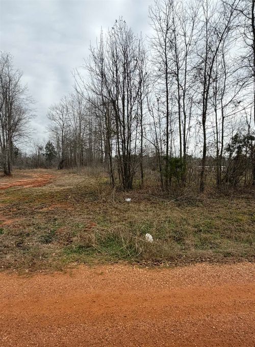 (LOT 2) Sunny Meadows Blvd, Tyler, TX, 75708 | Card Image