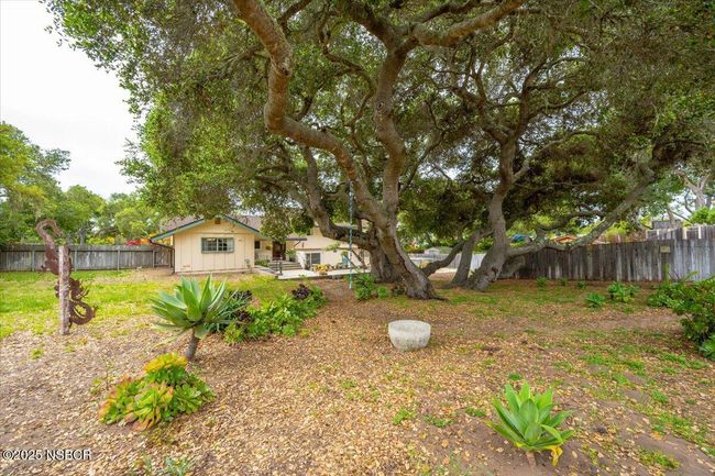 32-Back Yard | Image 26