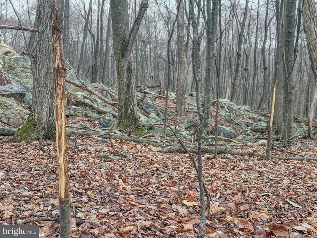 220 Notch Rd, Home with 0 bedrooms, 0 bathrooms and null parking in DUNCANNON PA | Image 23