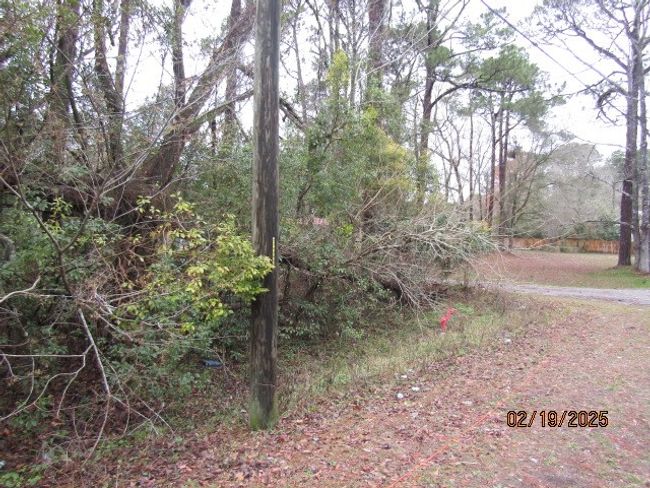 110 24th Ave, Home with 0 bedrooms, 0 bathrooms and null parking in Apalachicola FL | Image 4